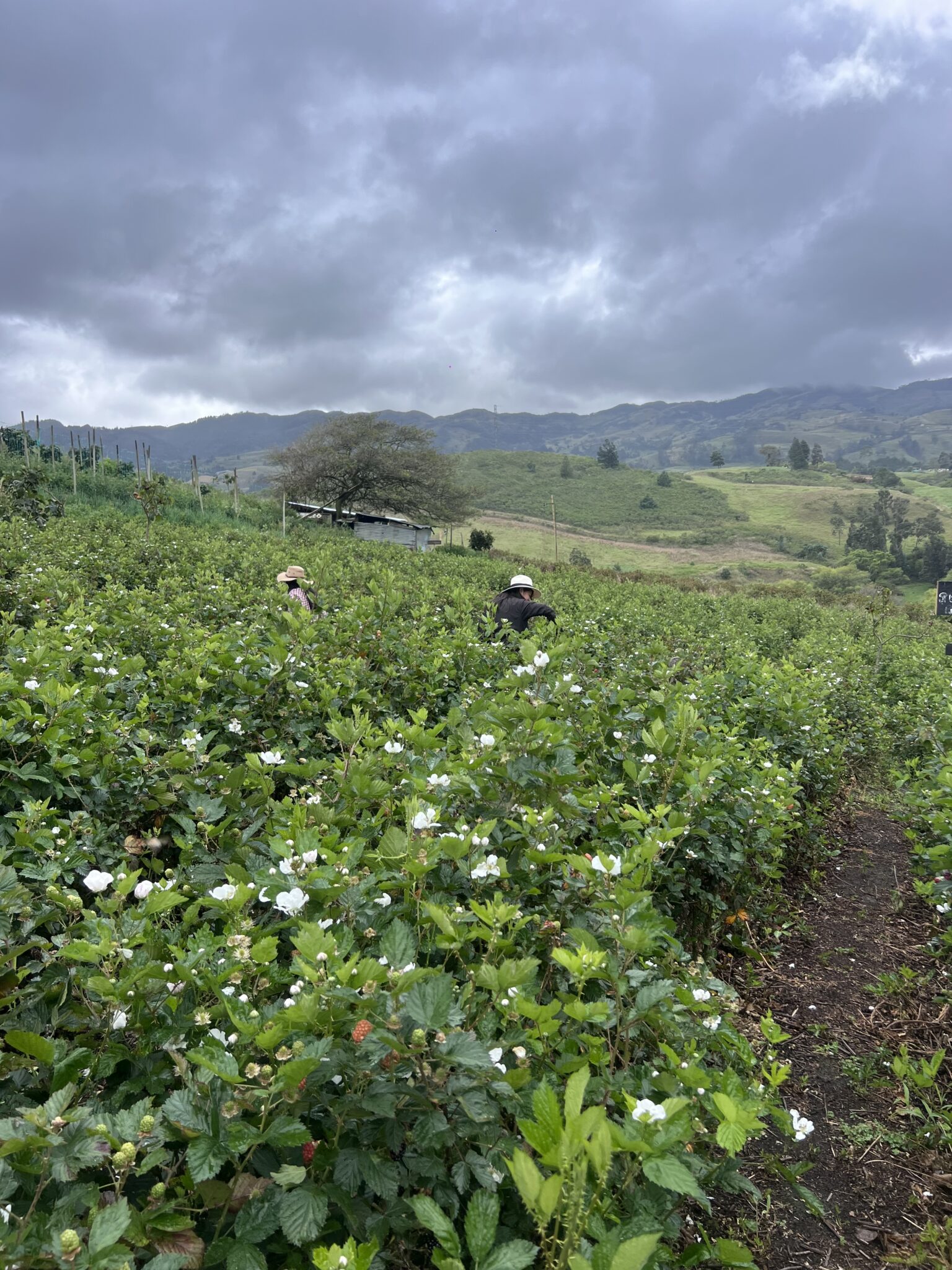 Entrada Huertos Romero Loja Portada