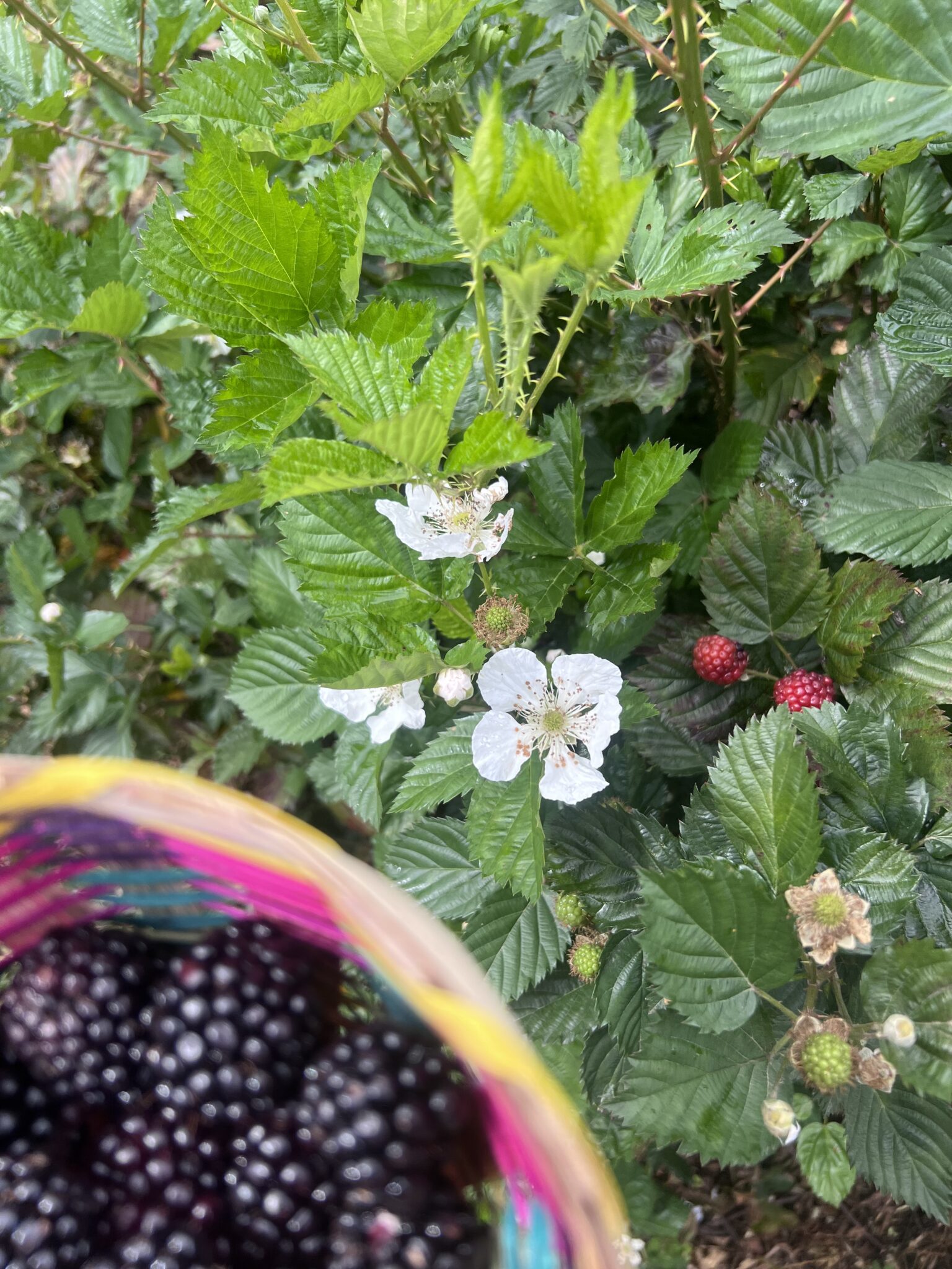 Restaurante agroturismo Loja