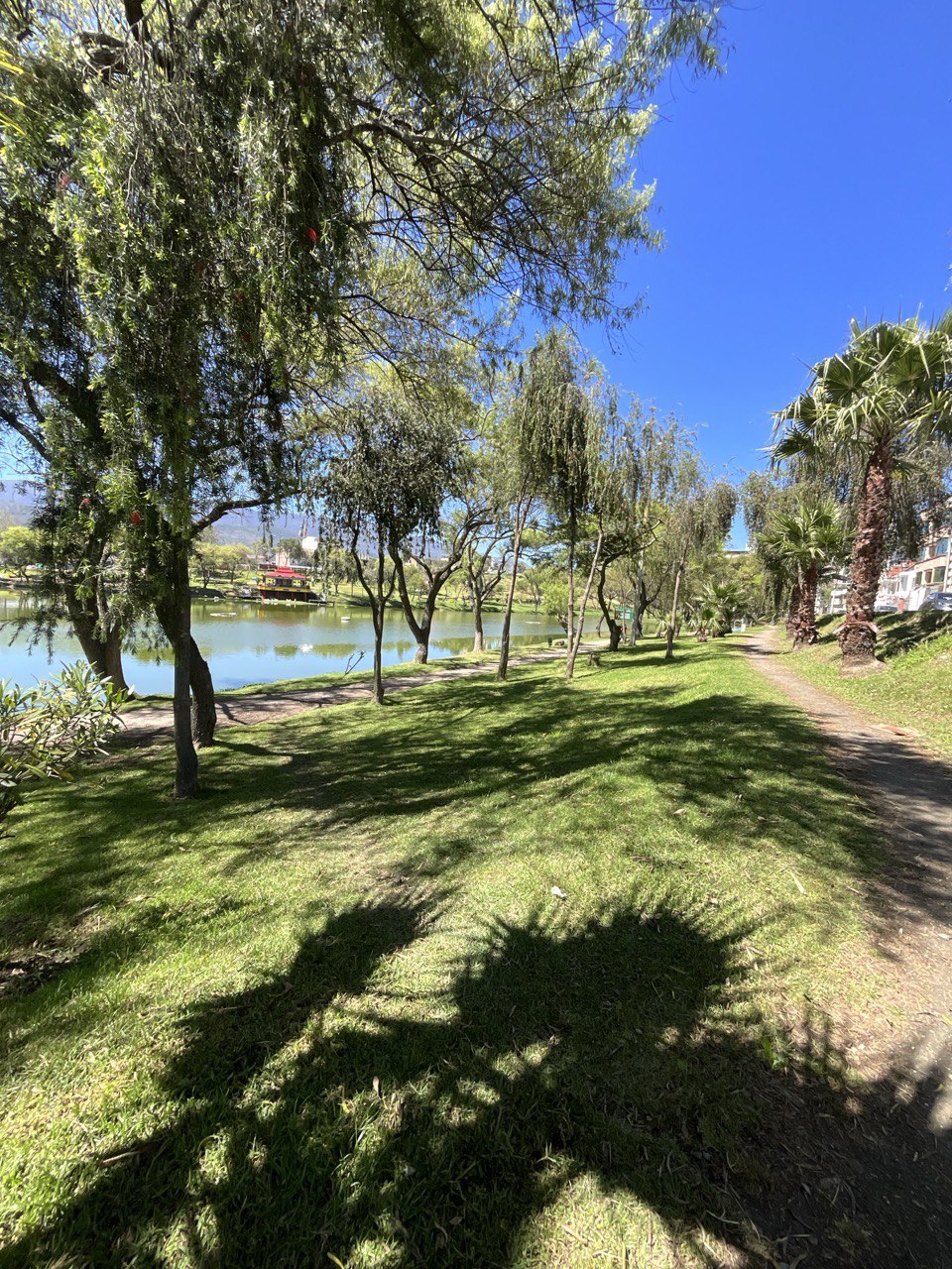 Atardecer en la Laguna