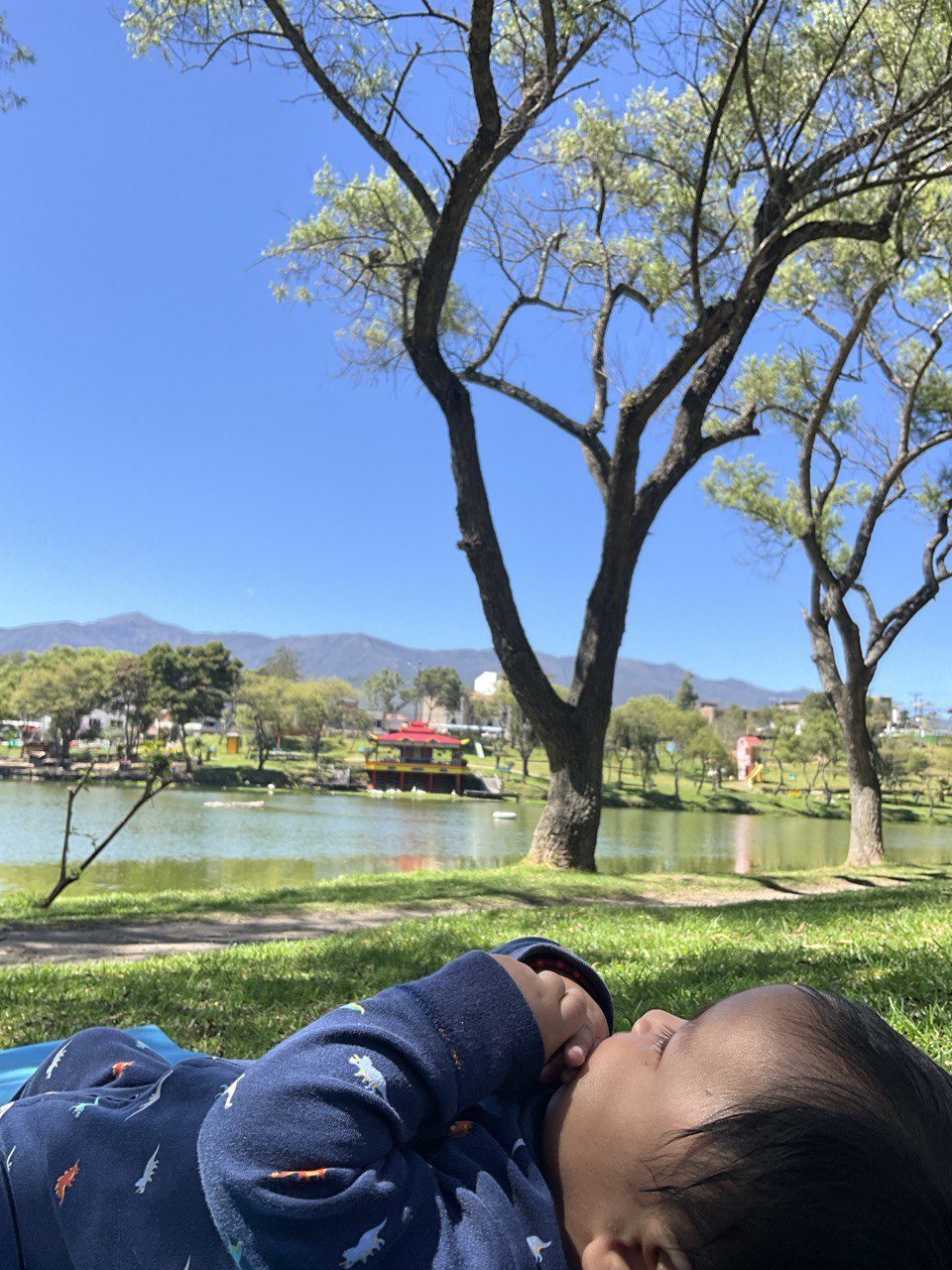 Laguna Daniel Álvarez