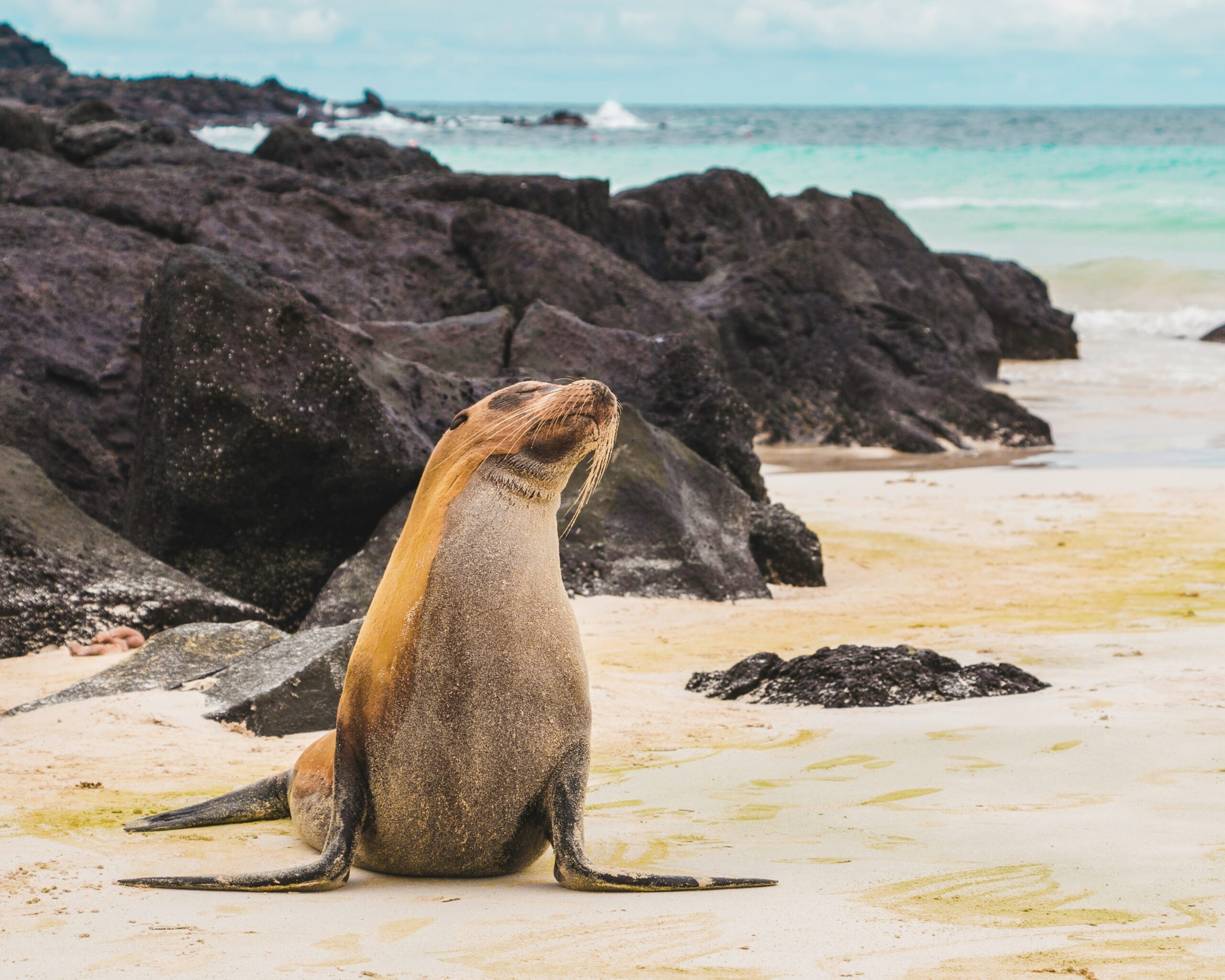 Tour Galápagos