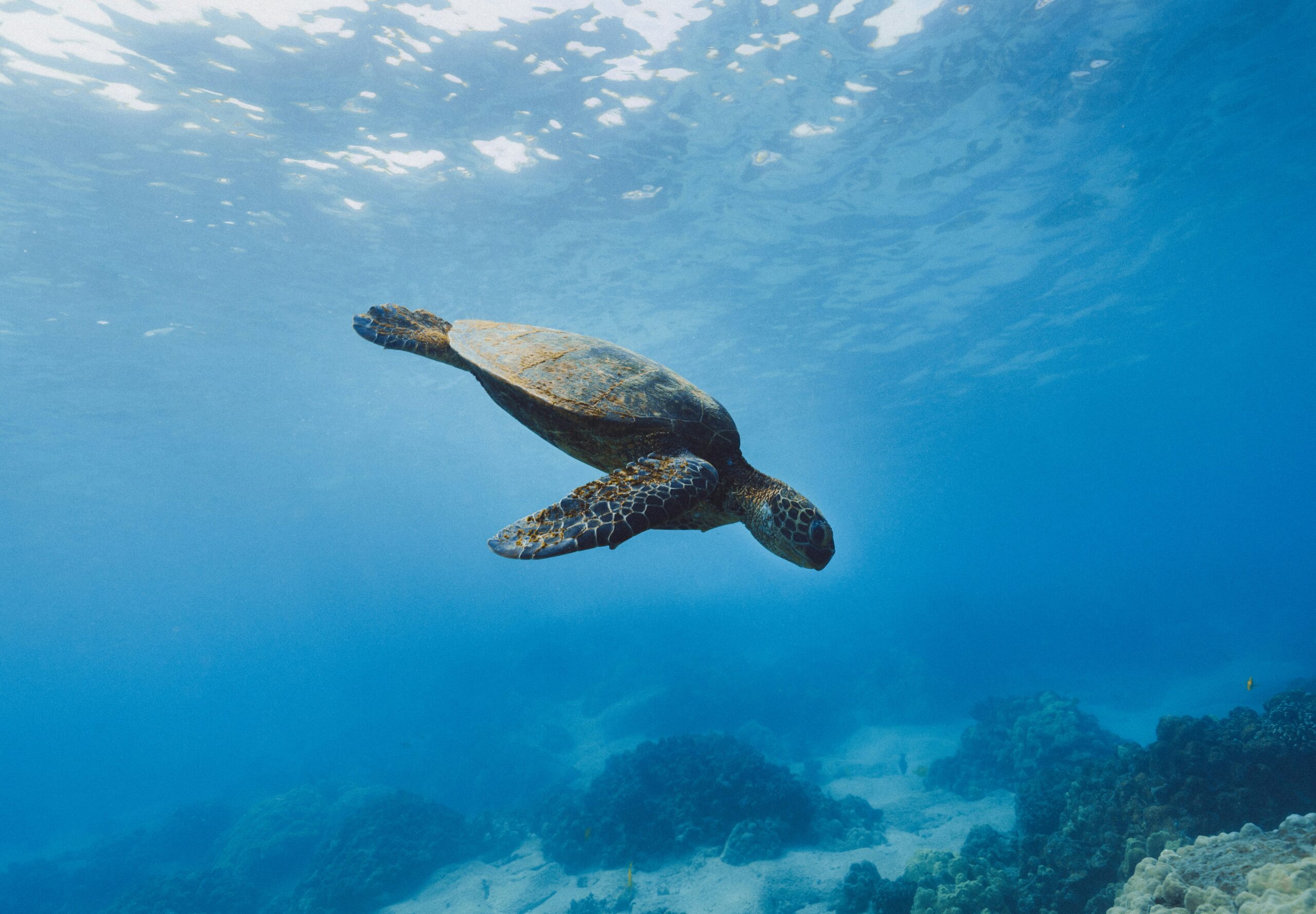 Aventura en Galápagos